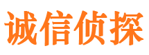 船山调查公司